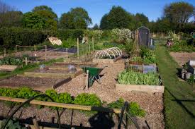 Felpham has two allotment sites located along Felpham Way. For more information please contact the Clerk.