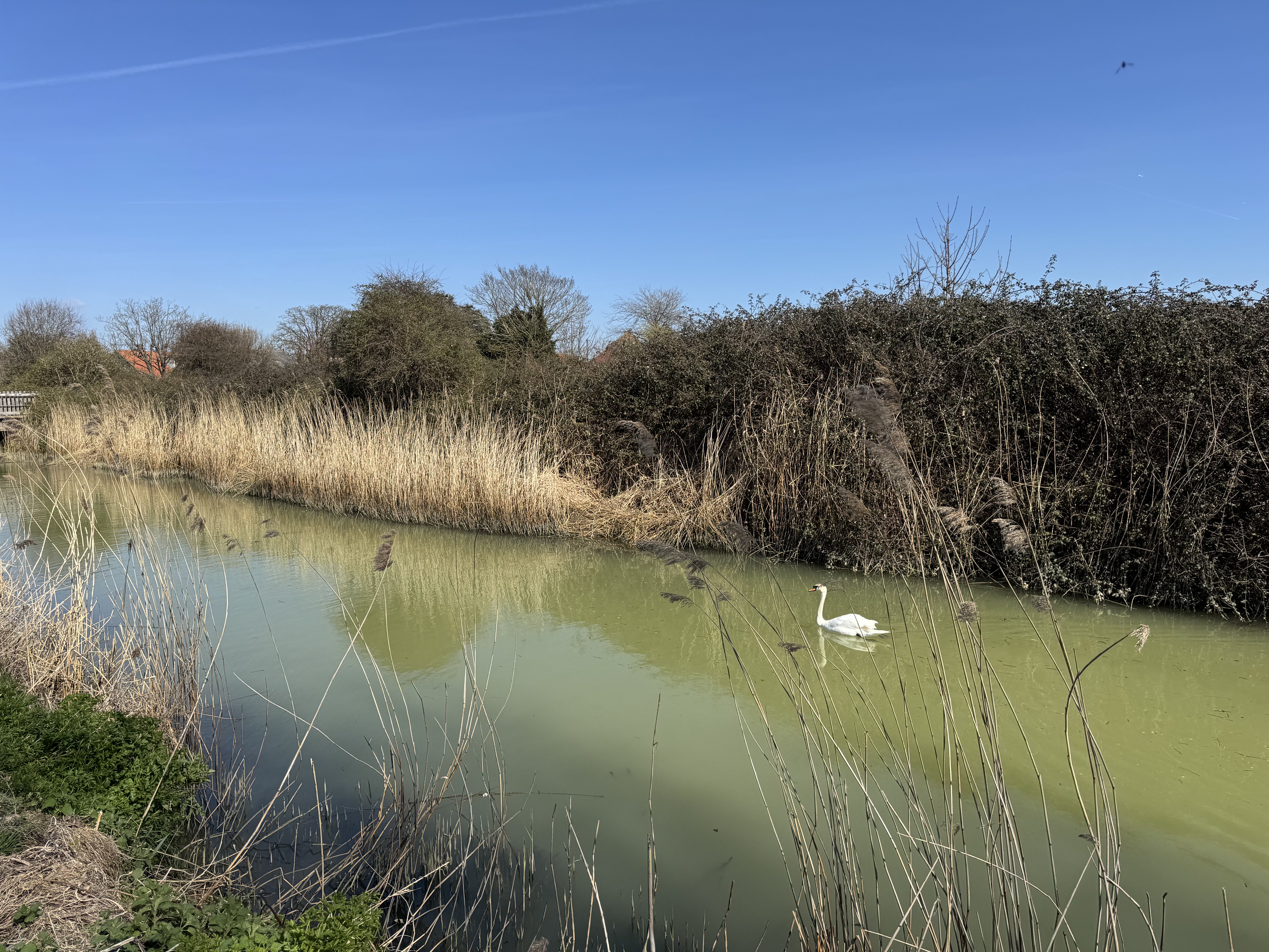 img_5259jpeg