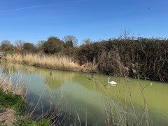 img_5259jpeg
